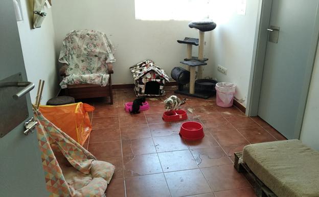 Imagen principal - Imágenes del refugio