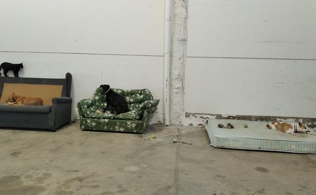 Imagen principal - Imágenes del refugio