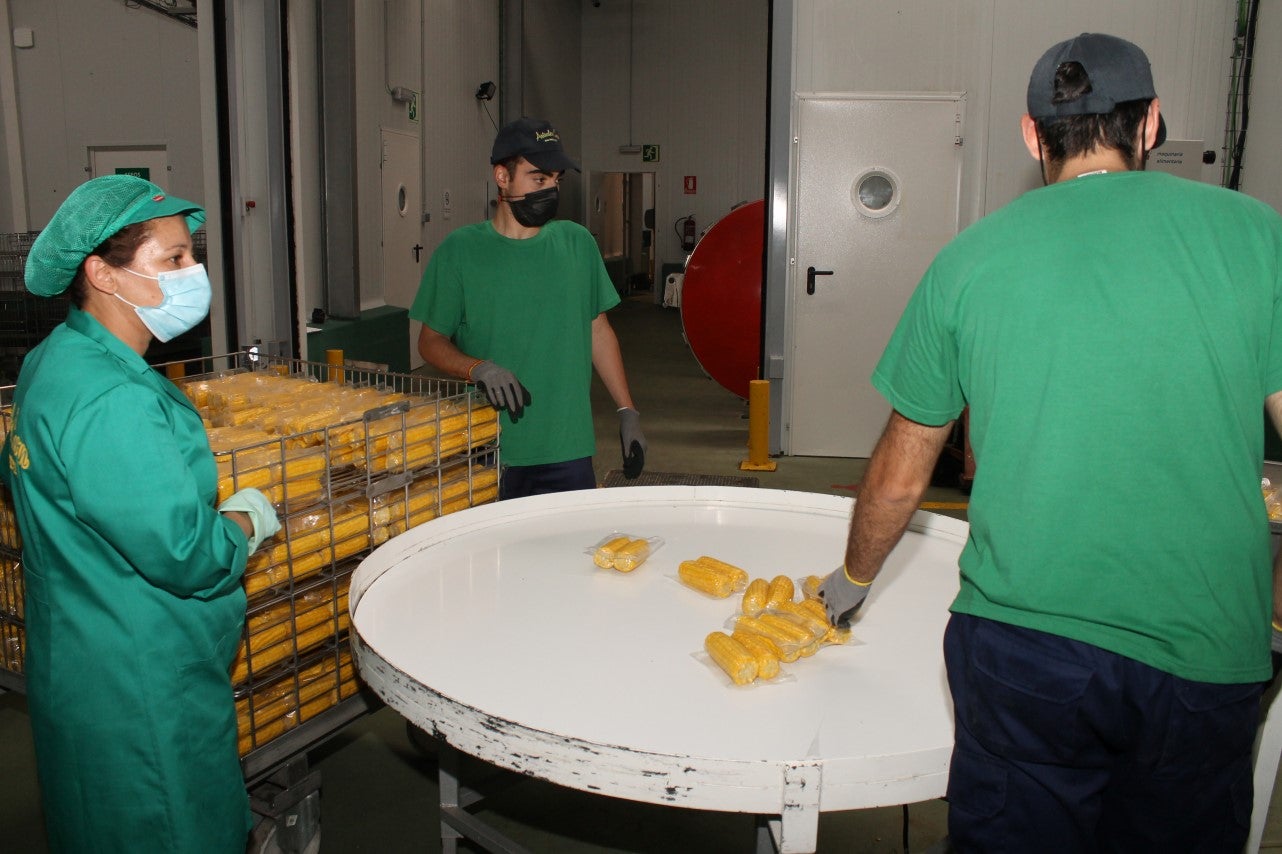 Fotos: Inauguración de Artealca Corn (II)