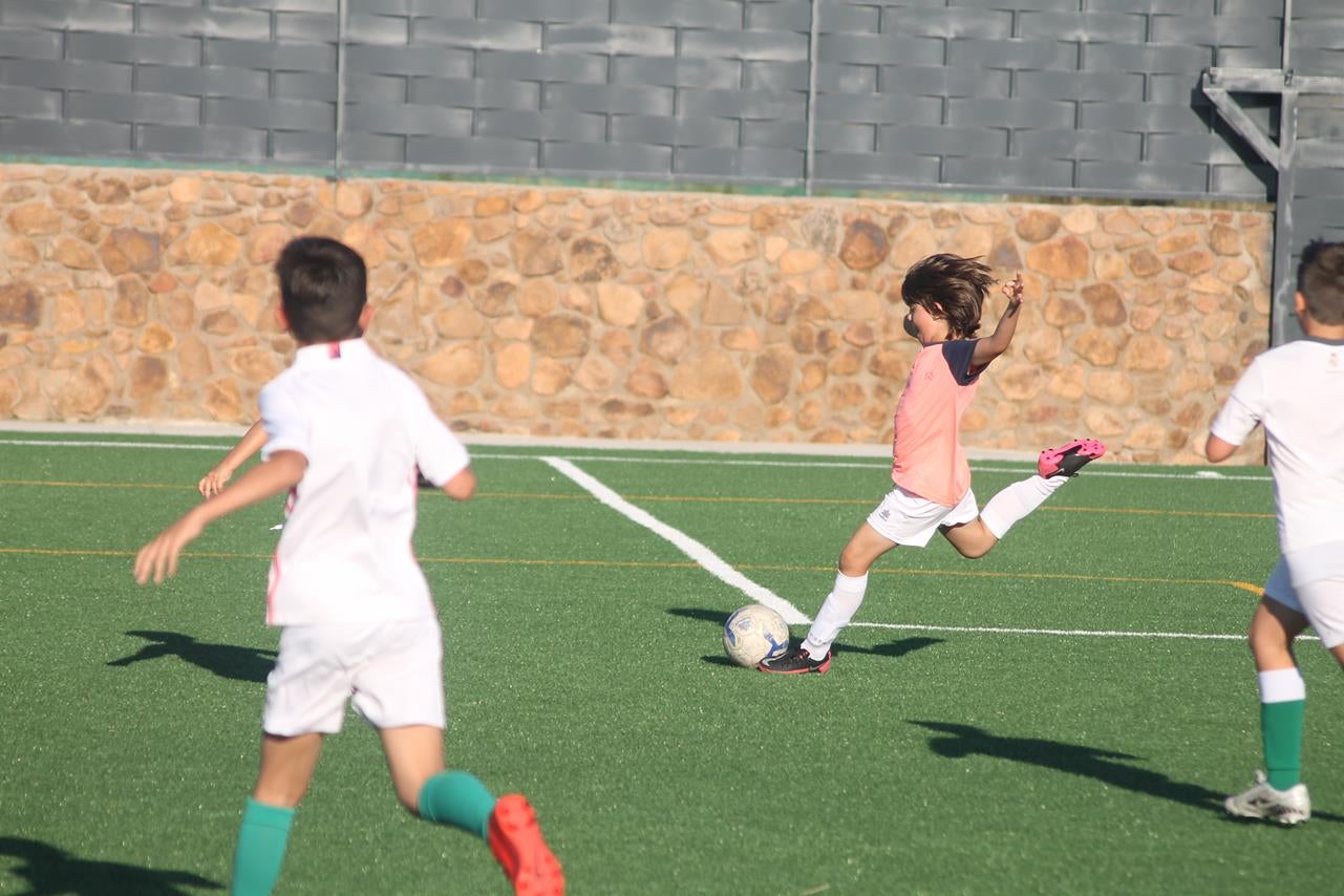 Fotos: Cierre de temporada de la Escuela de Fútbol Base (II)