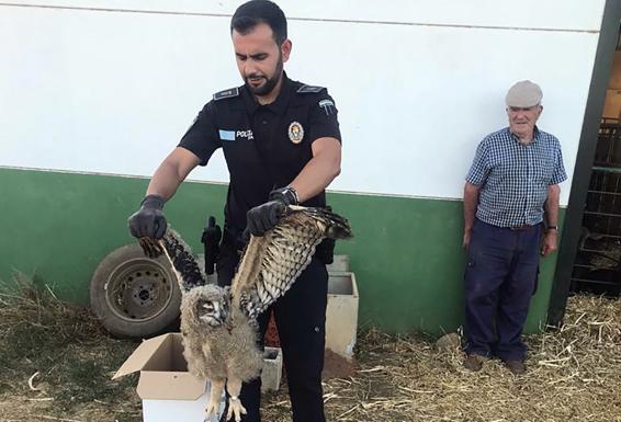 La Policía Local pasó a recoger al animal