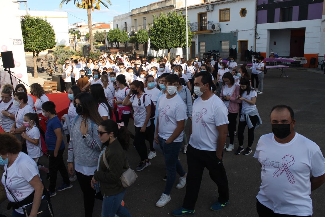 Fotos: Marcha Solidaria de la Semana Contra el Cáncer de Mama 2021 (I)