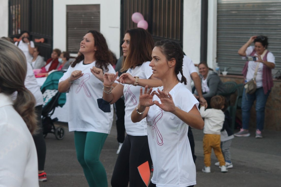 Fotos: Marcha Solidaria de la Semana Contra el Cáncer de Mama 2021 (III)
