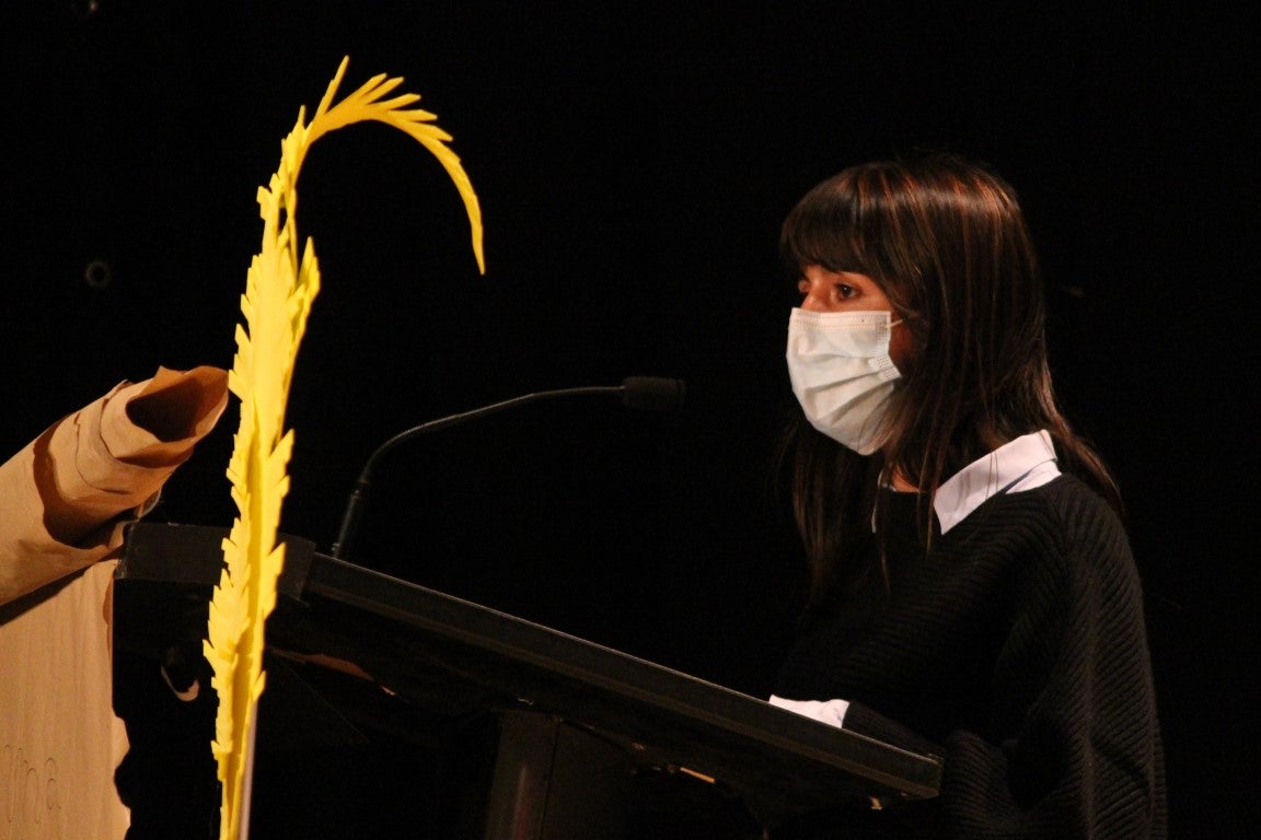 Fotos: IV ValverARTEX (I)