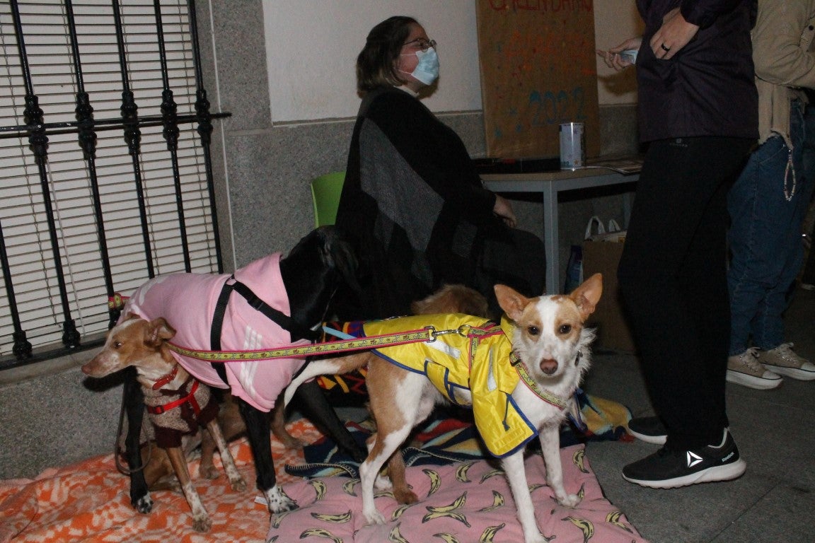 Fotos: IV ValverARTEX (I)