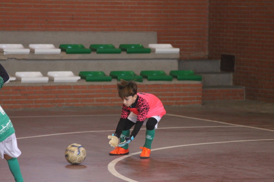 Fotos: Prebenjamines Valverde de Leganés – Don Bosco C