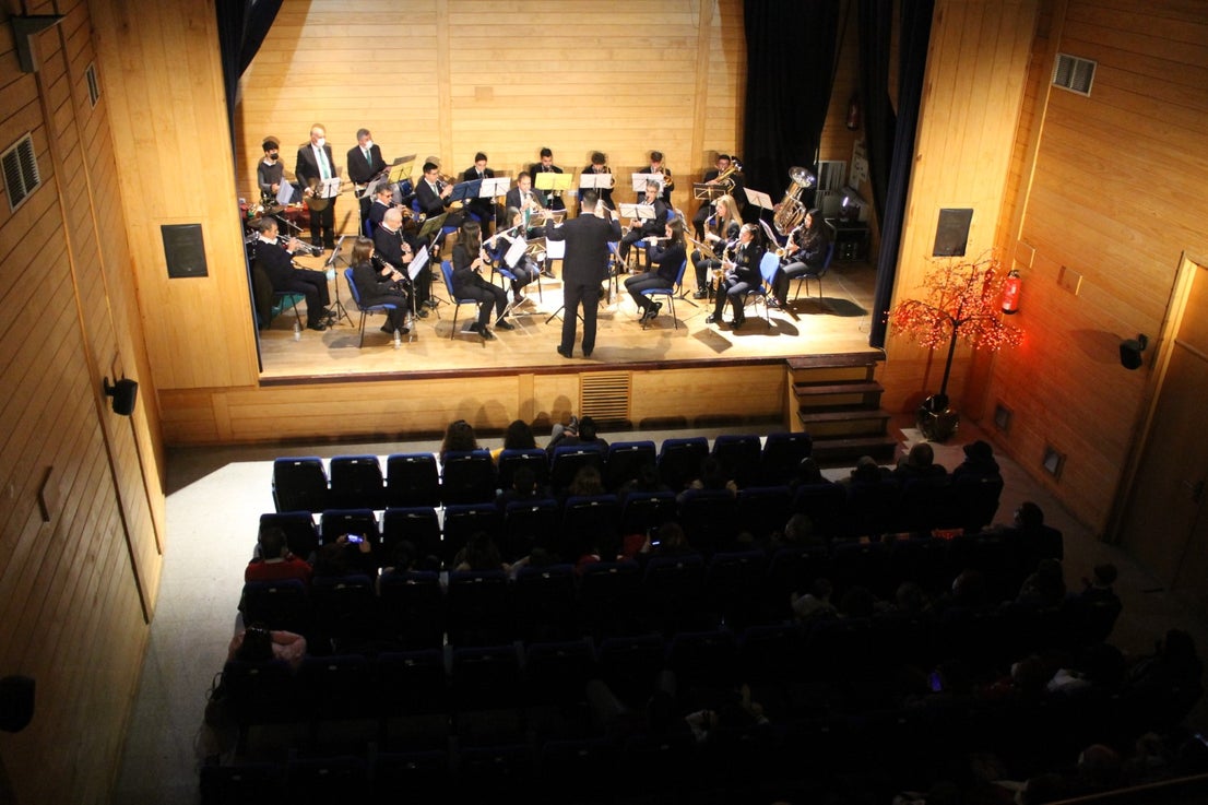 Fotos: Concierto de Santa Cecilia 2021