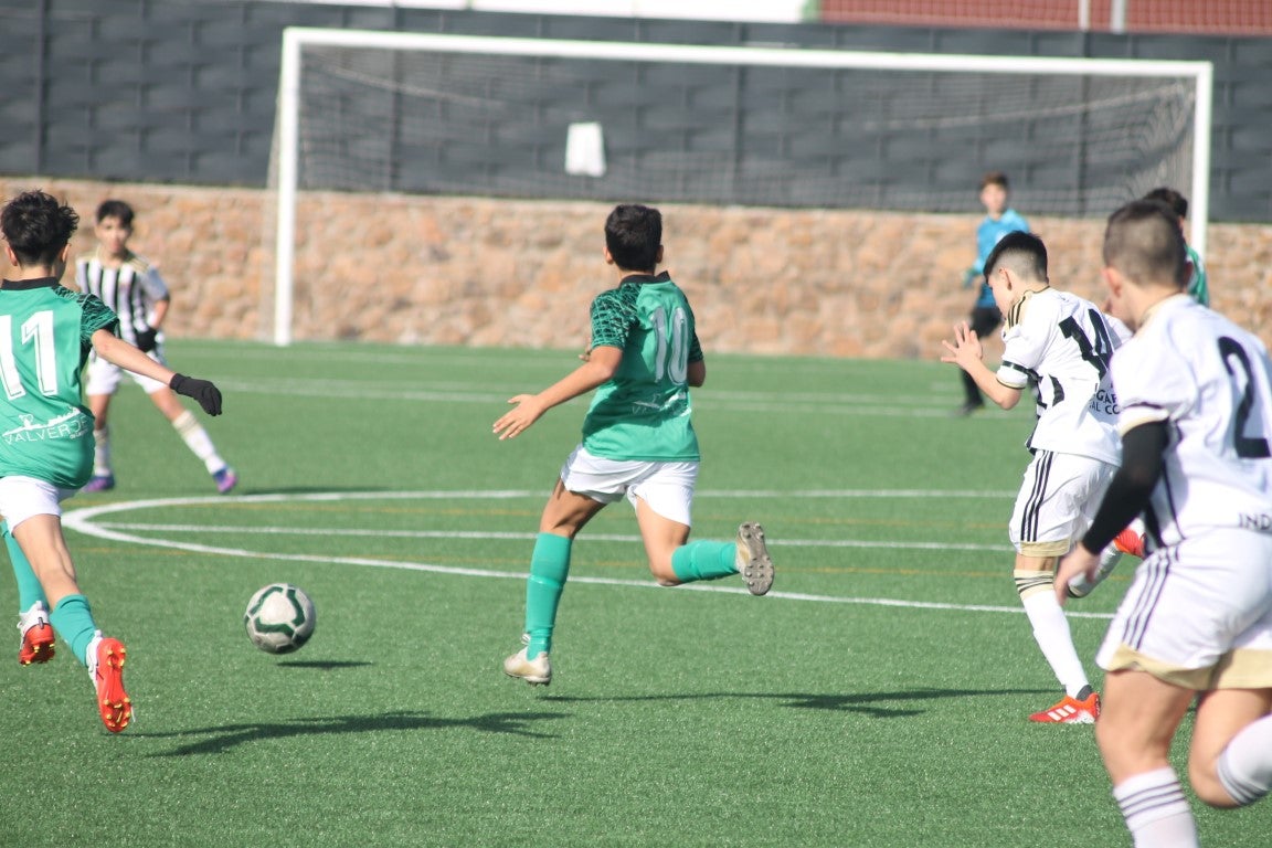Fotos: Infantiles - CD Badajoz B