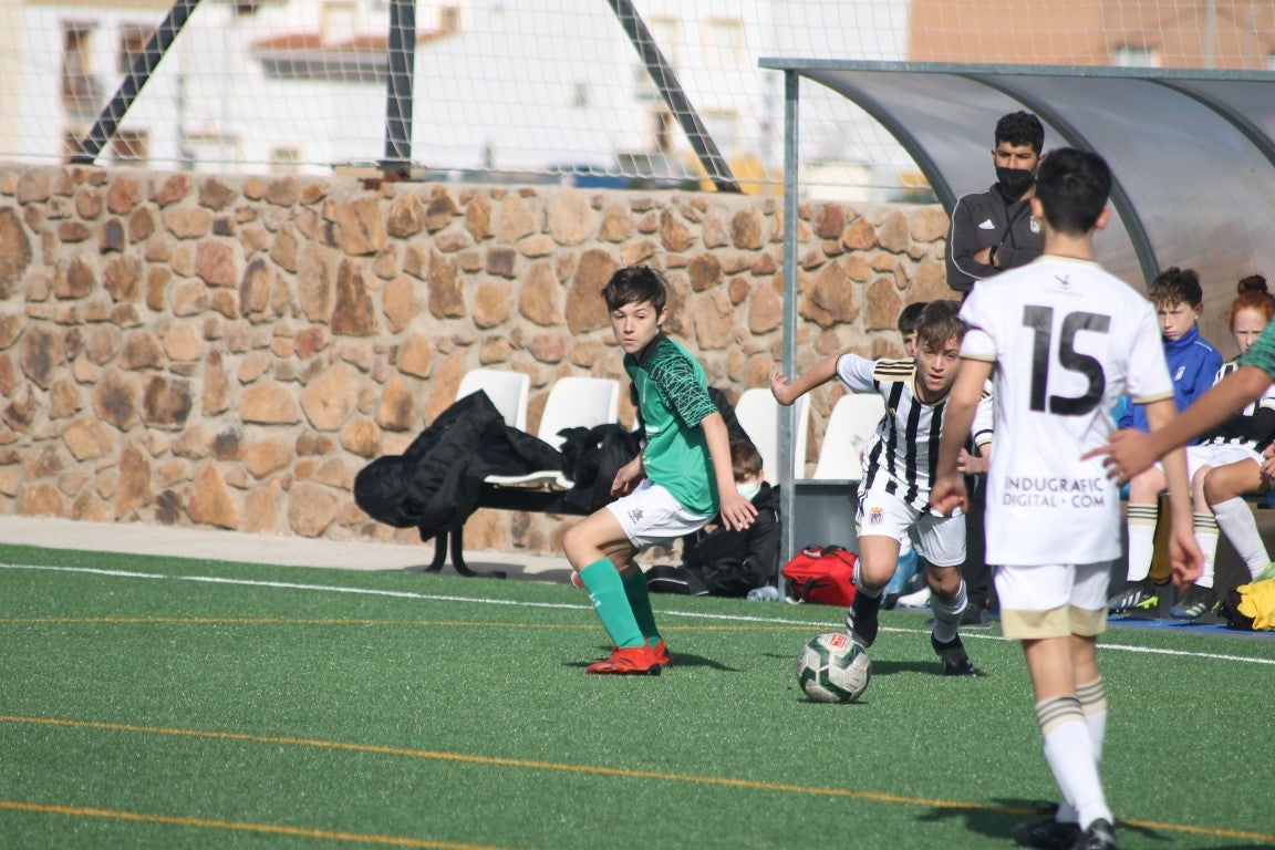 Fotos: Infantiles - CD Badajoz B