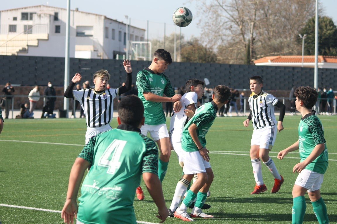 Fotos: Infantiles - CD Badajoz B