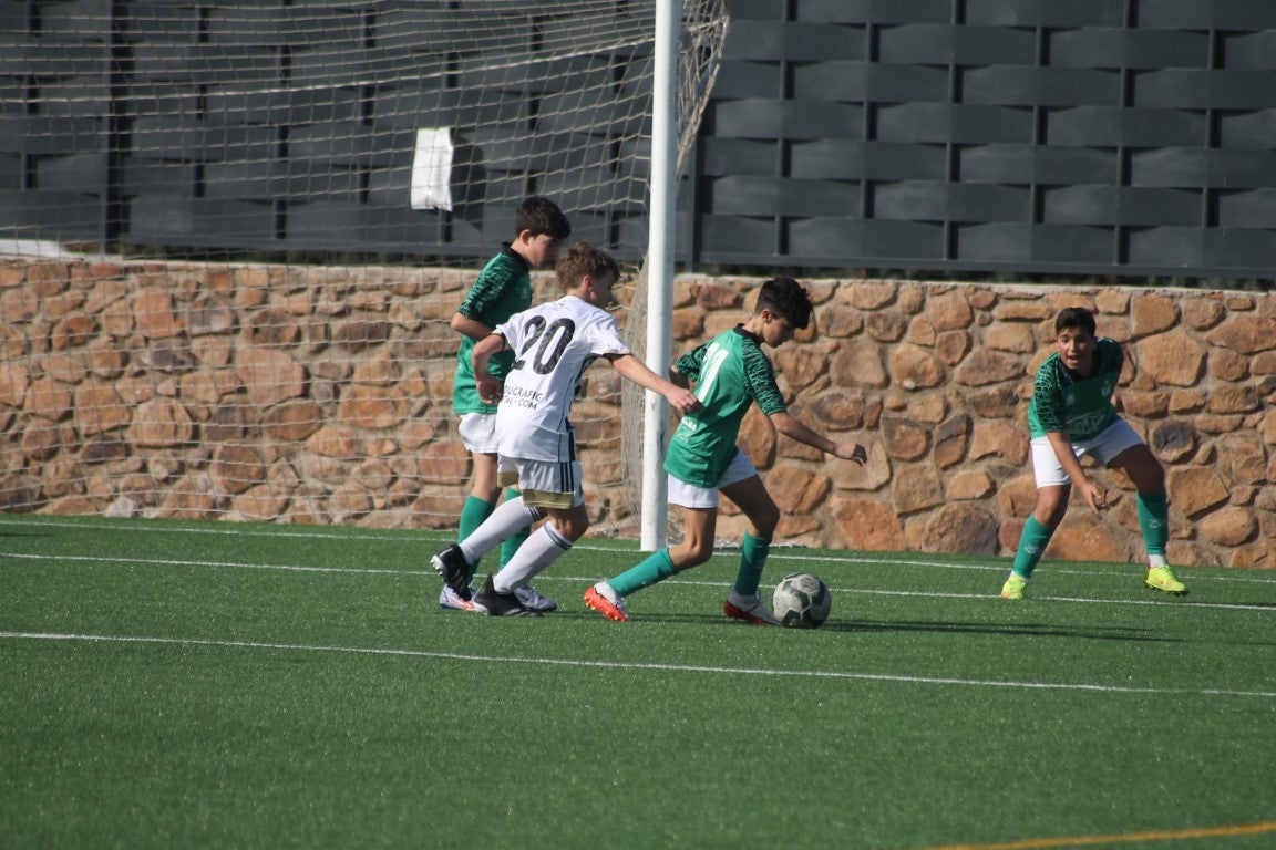Fotos: Infantiles - CD Badajoz B