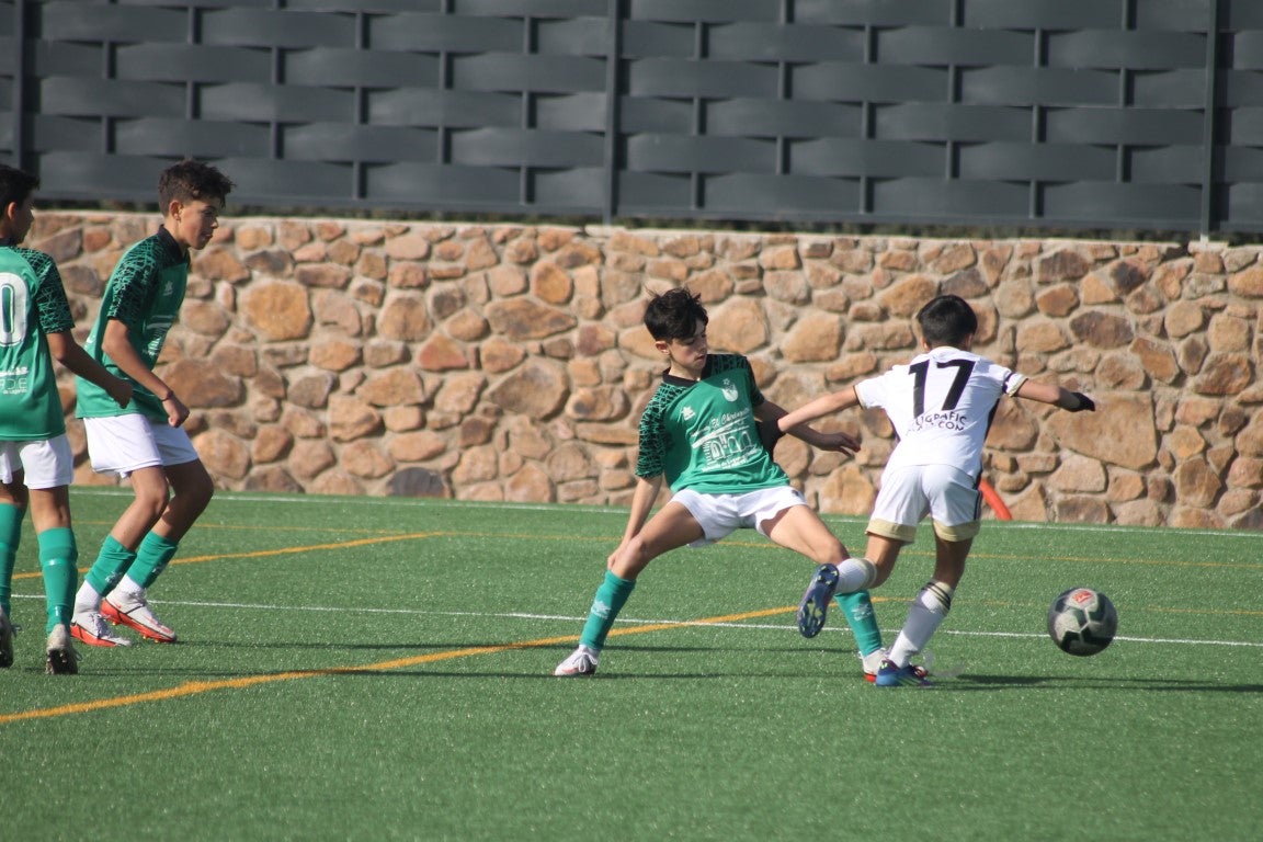 Fotos: Infantiles - CD Badajoz B