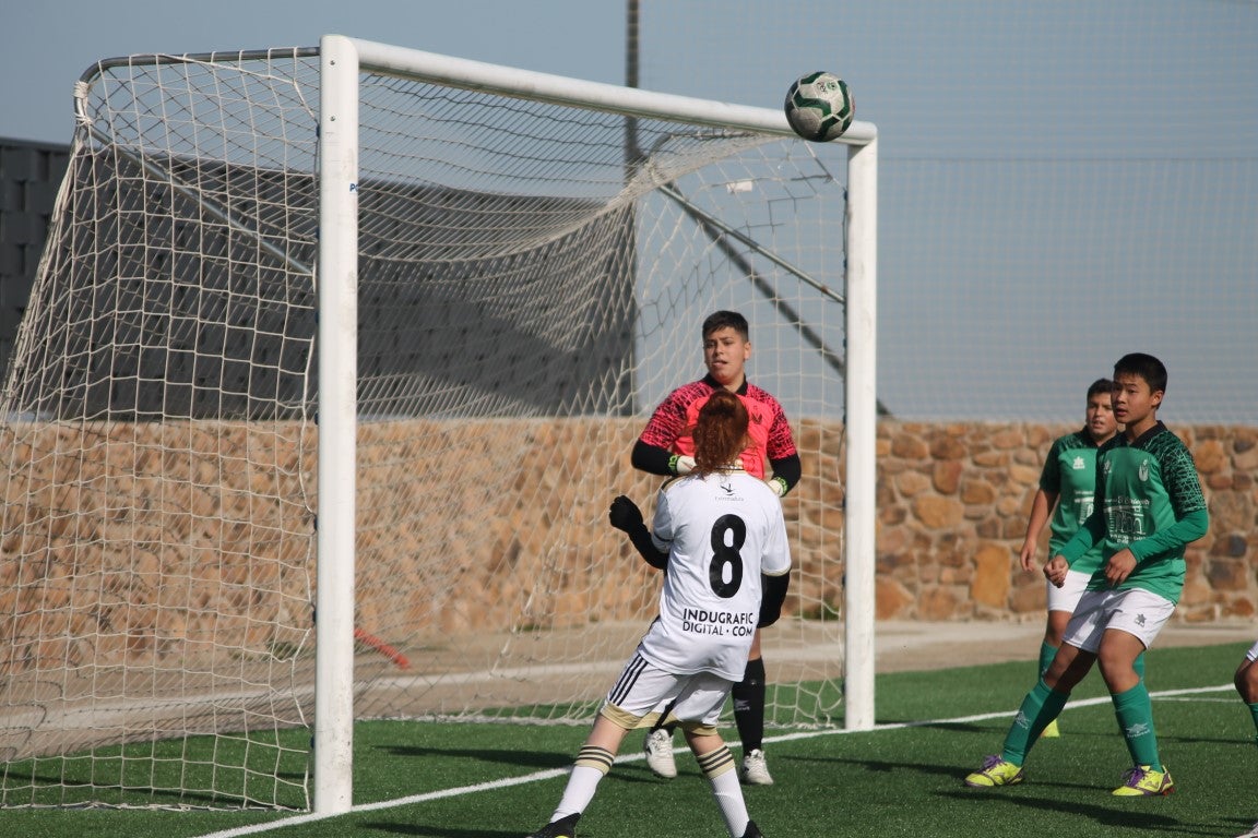 Fotos: Infantiles - CD Badajoz B