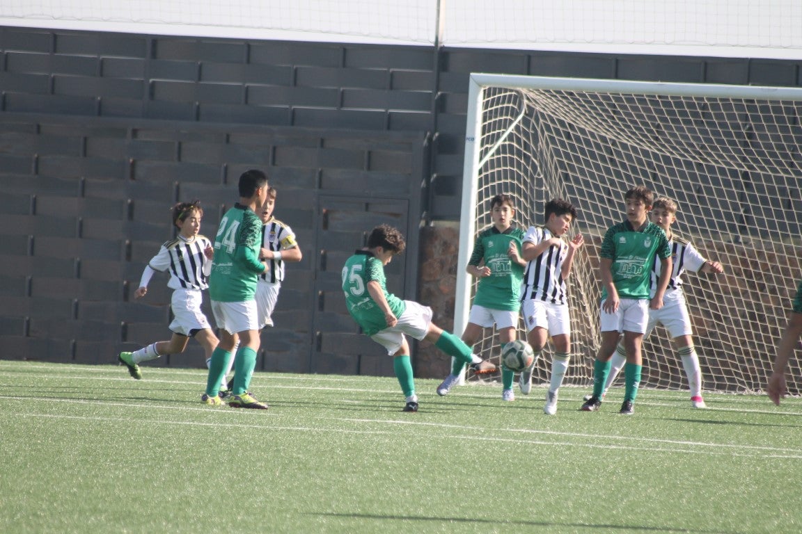 Fotos: Infantiles - CD Badajoz B