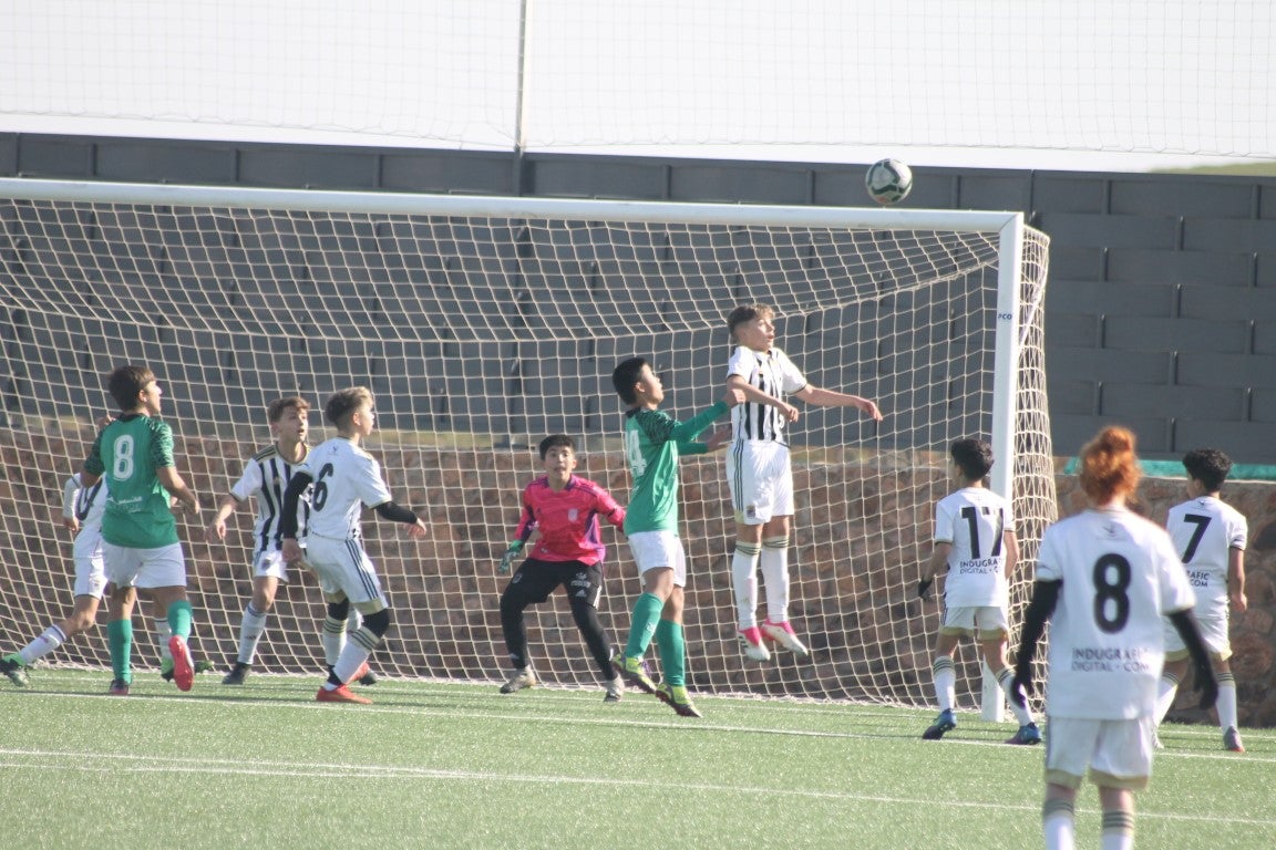 Fotos: Infantiles - CD Badajoz B
