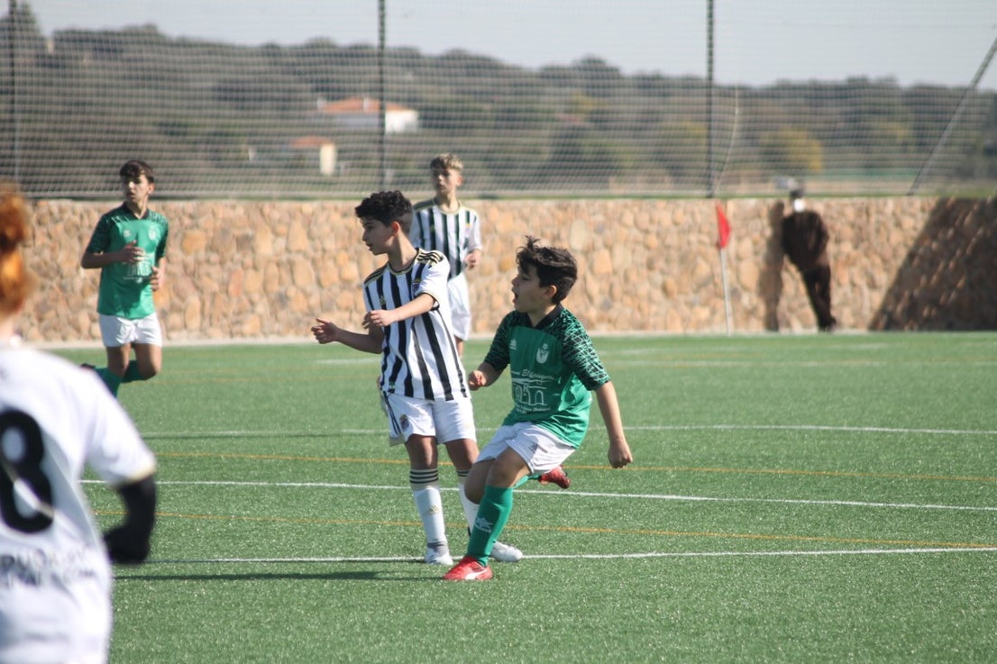 Fotos: Infantiles - CD Badajoz B