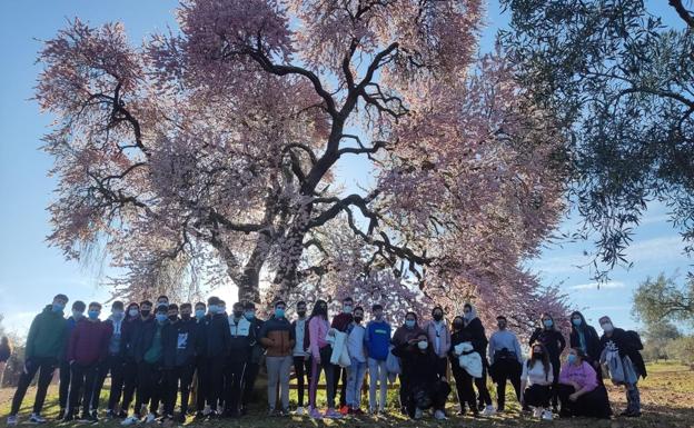 Imagen principal - Más imágenes de las visitas