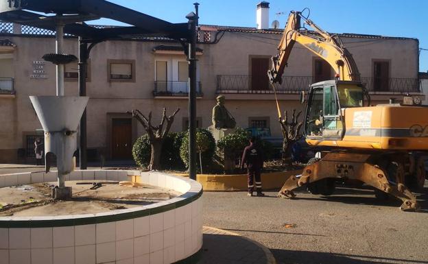 Retirando los olivos