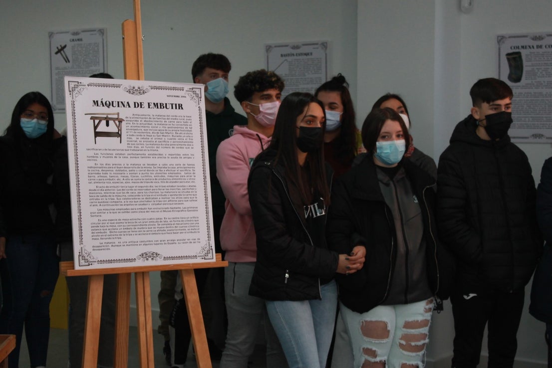 Fotos: Exposición del Museo de Olivenza