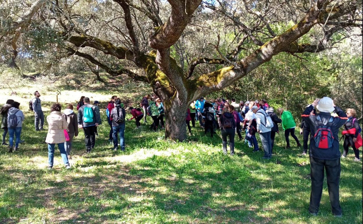 Participantes en la II Ruta de las Orquídeas silvestres