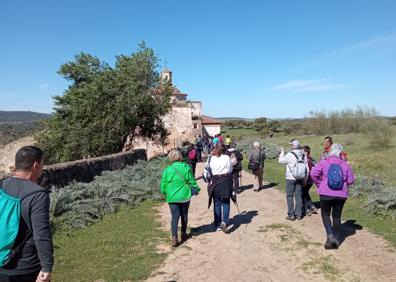Imagen secundaria 1 - Algunas imágenes de la II Ruta de las Orquídeas silvestres