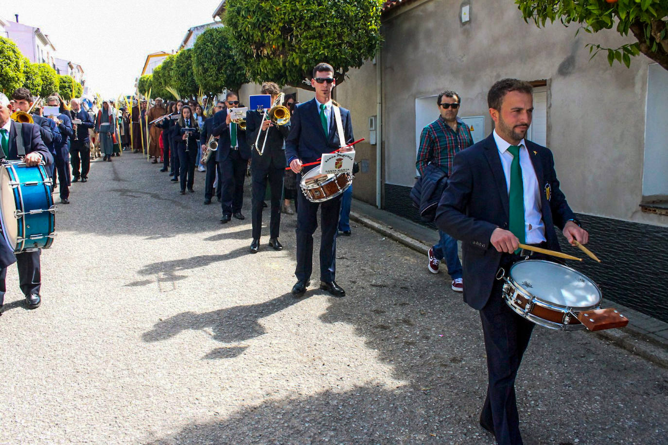 Fotos: Domingo de Ramos
