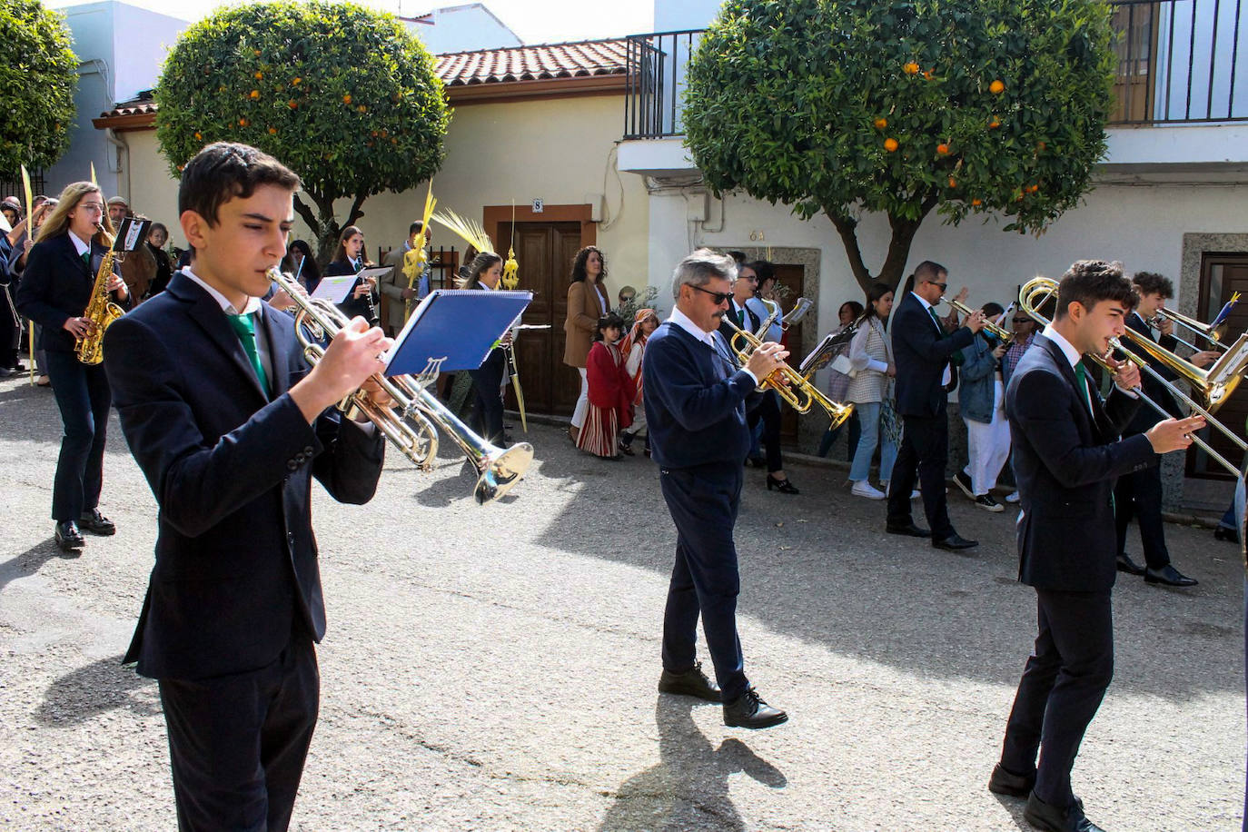 Fotos: Domingo de Ramos