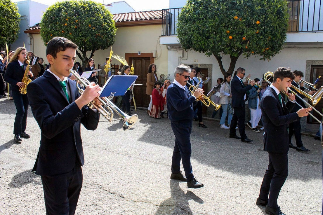 Fotos: Domingo de Ramos