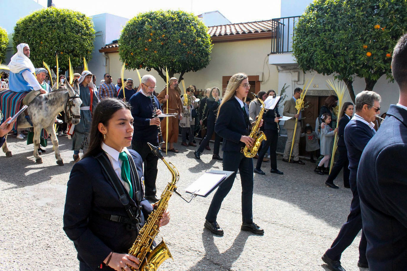 Fotos: Domingo de Ramos