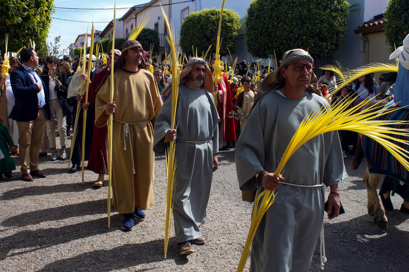 Fotos: Domingo de Ramos