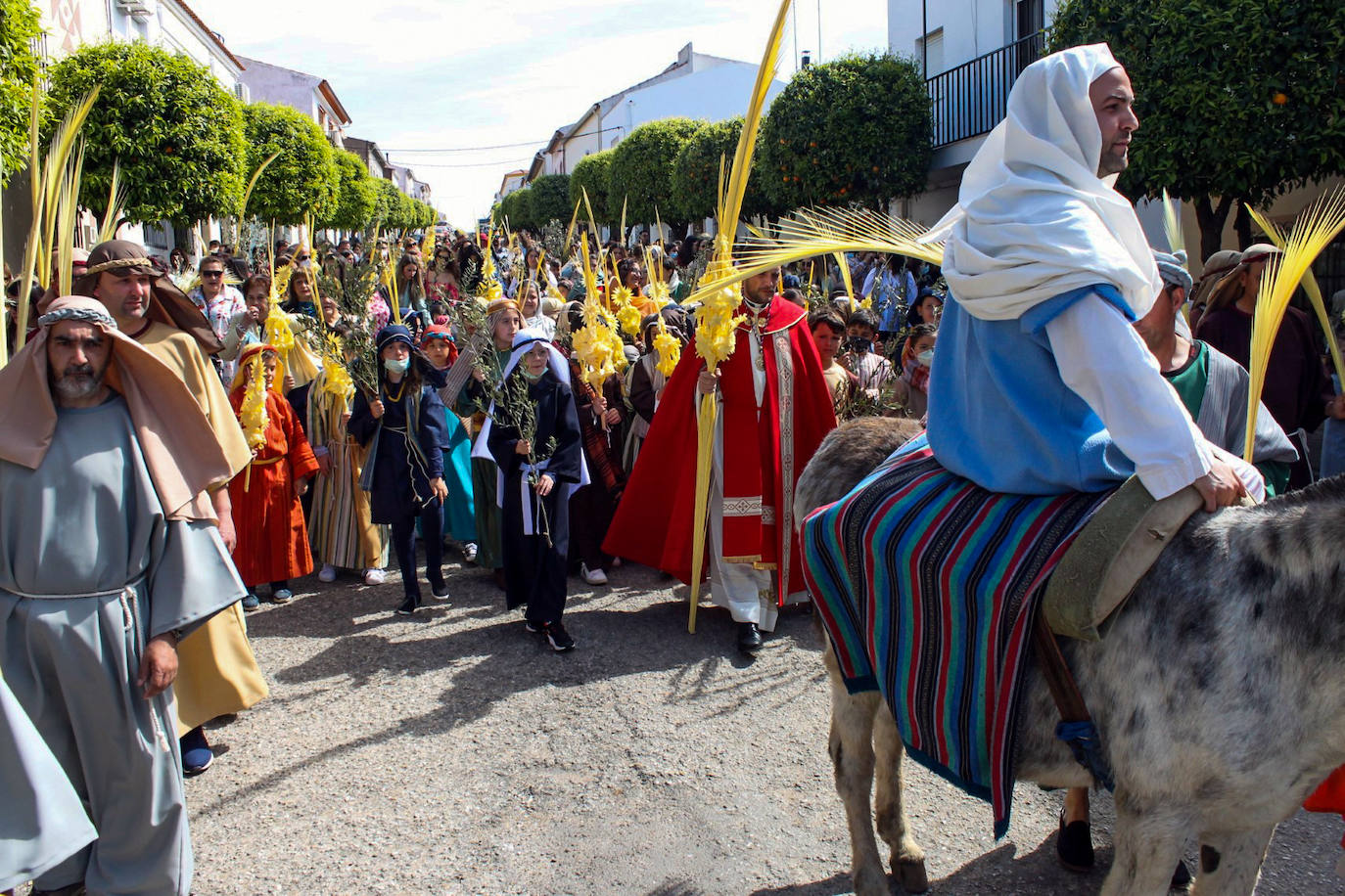 Fotos: Domingo de Ramos