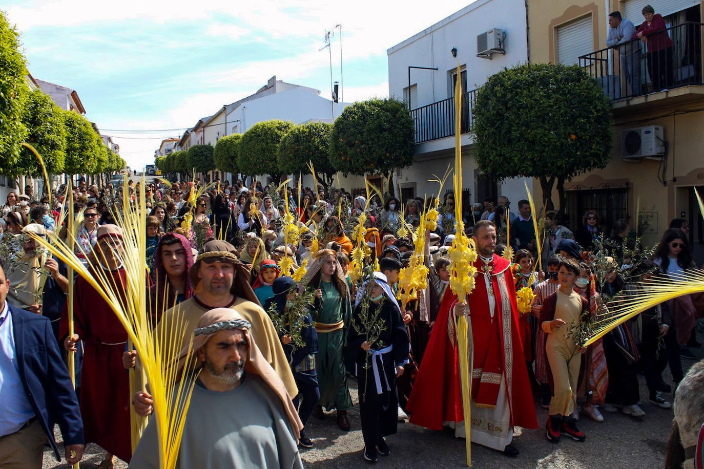 Fotos: Domingo de Ramos