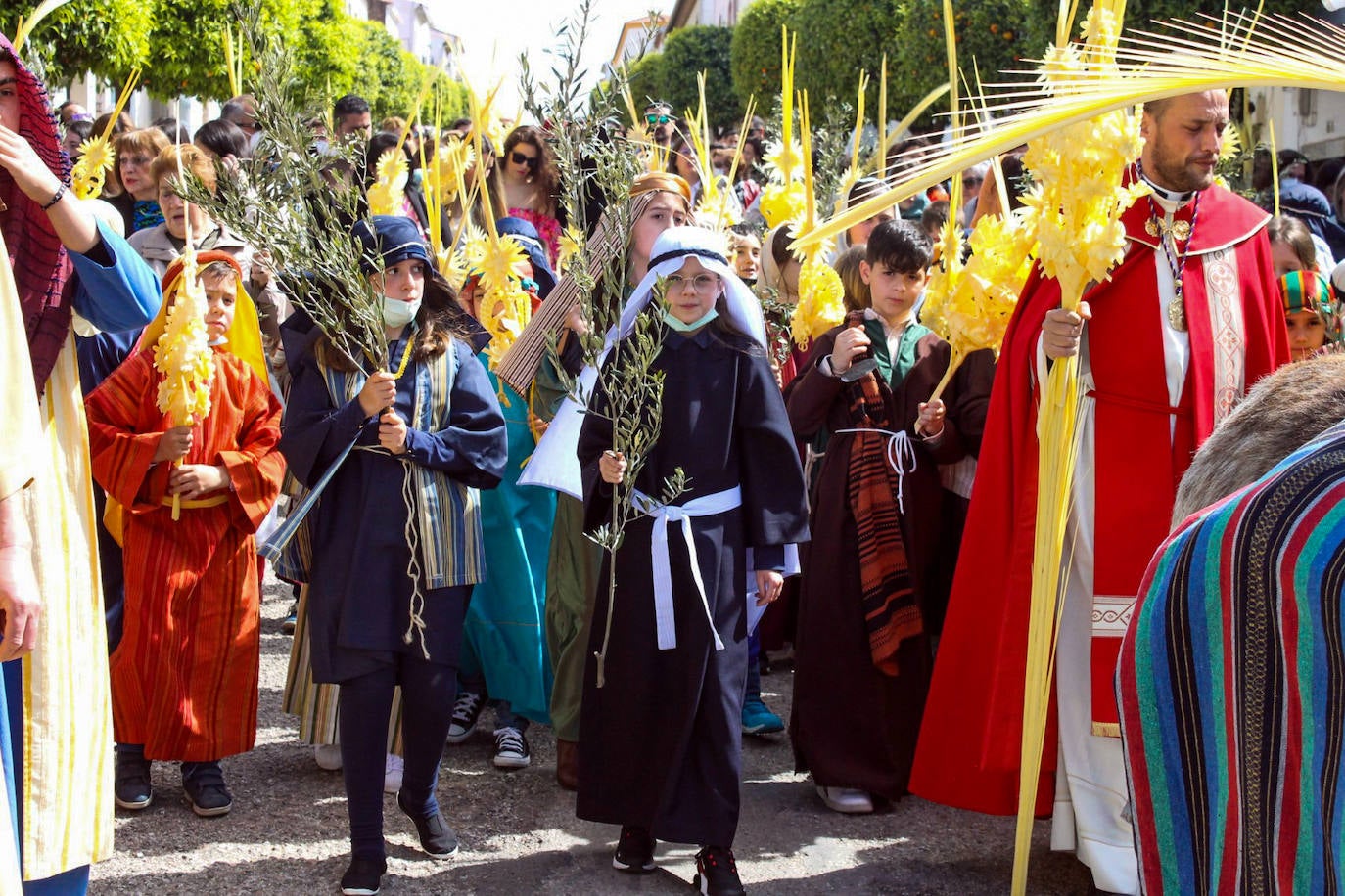Fotos: Domingo de Ramos