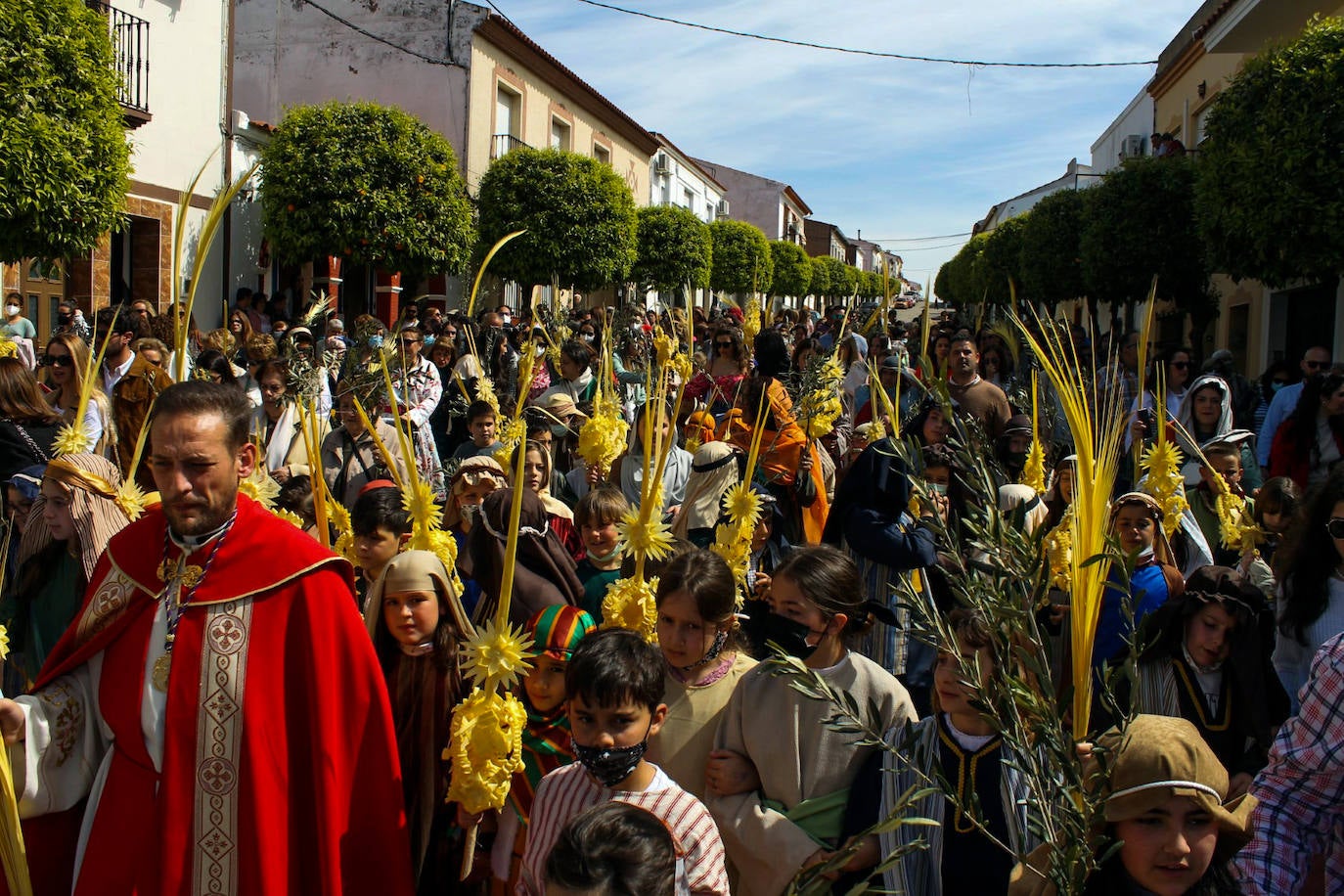 Fotos: Domingo de Ramos