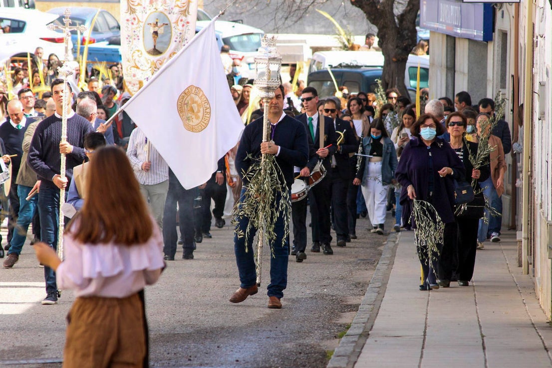Fotos: Domingo de Ramos