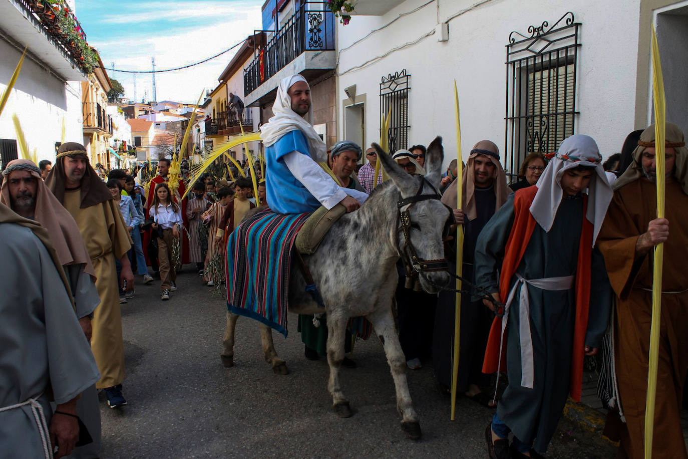 Fotos: Domingo de Ramos