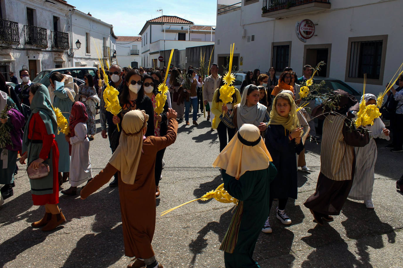 Fotos: Domingo de Ramos
