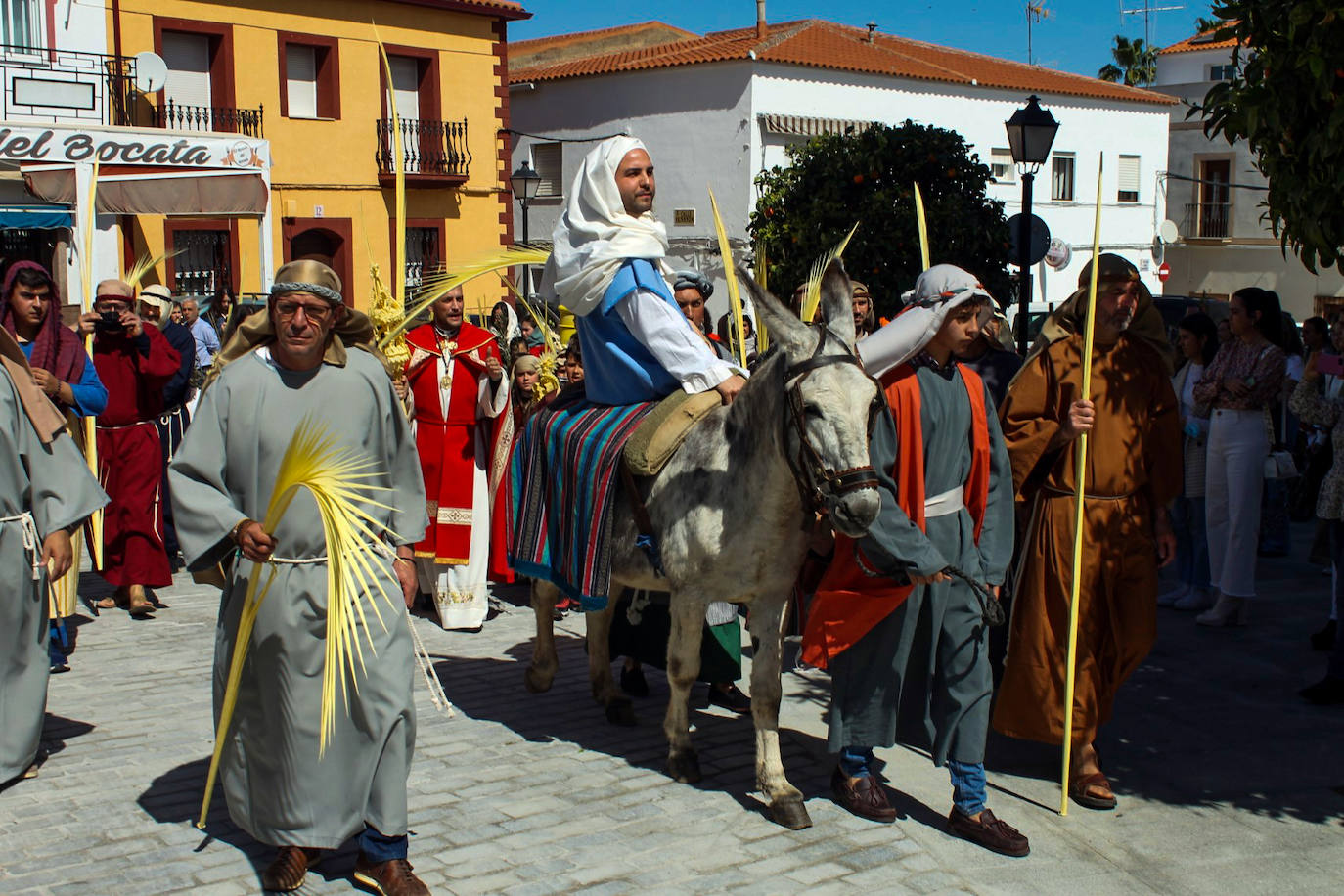 Fotos: Domingo de Ramos