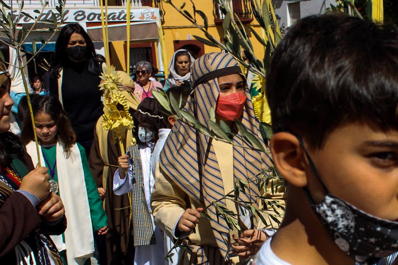 Fotos: Domingo de Ramos