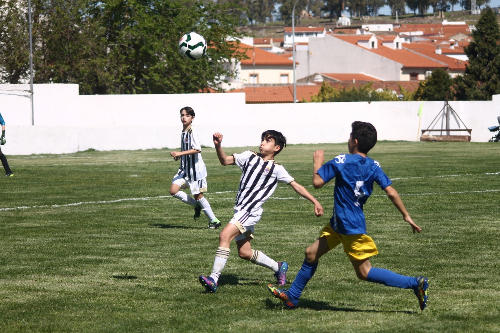 Fotos: I Trofeo Ibérico ‘Villa de Valverde’ (I)