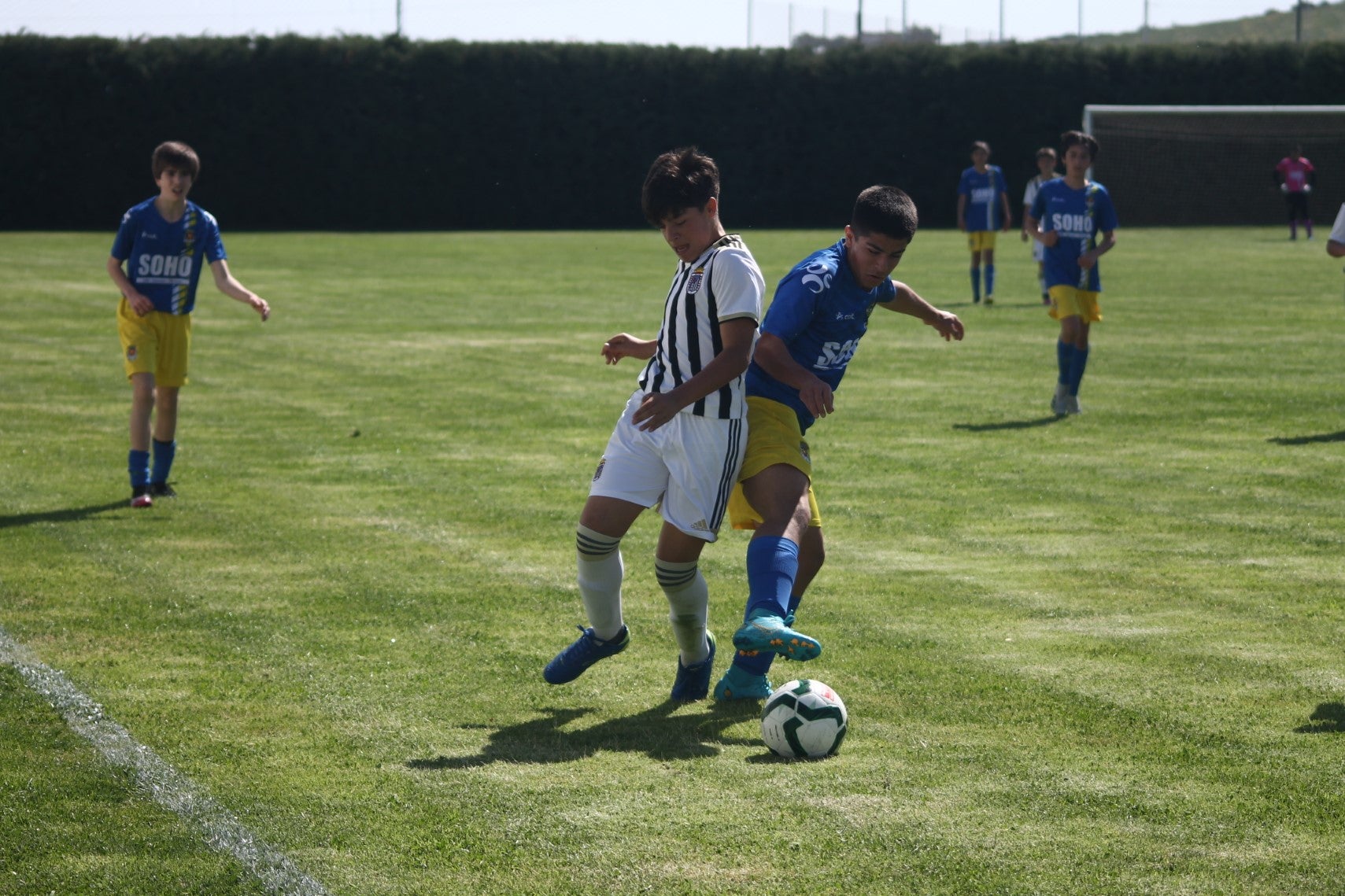 Fotos: I Trofeo Ibérico ‘Villa de Valverde’ (I)