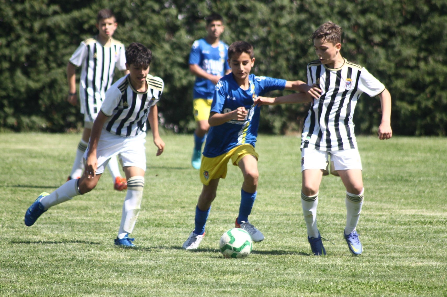 Fotos: I Trofeo Ibérico ‘Villa de Valverde’ (II)