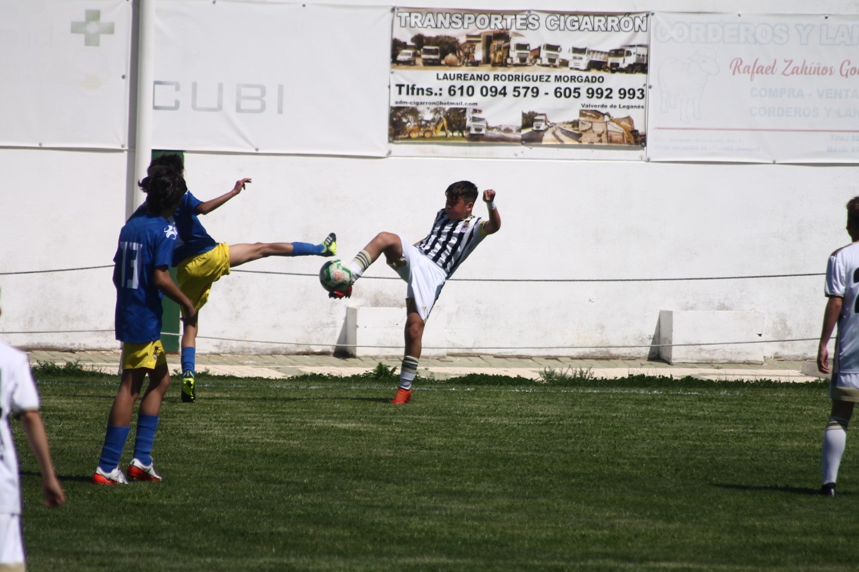 Fotos: I Trofeo Ibérico ‘Villa de Valverde’ (II)