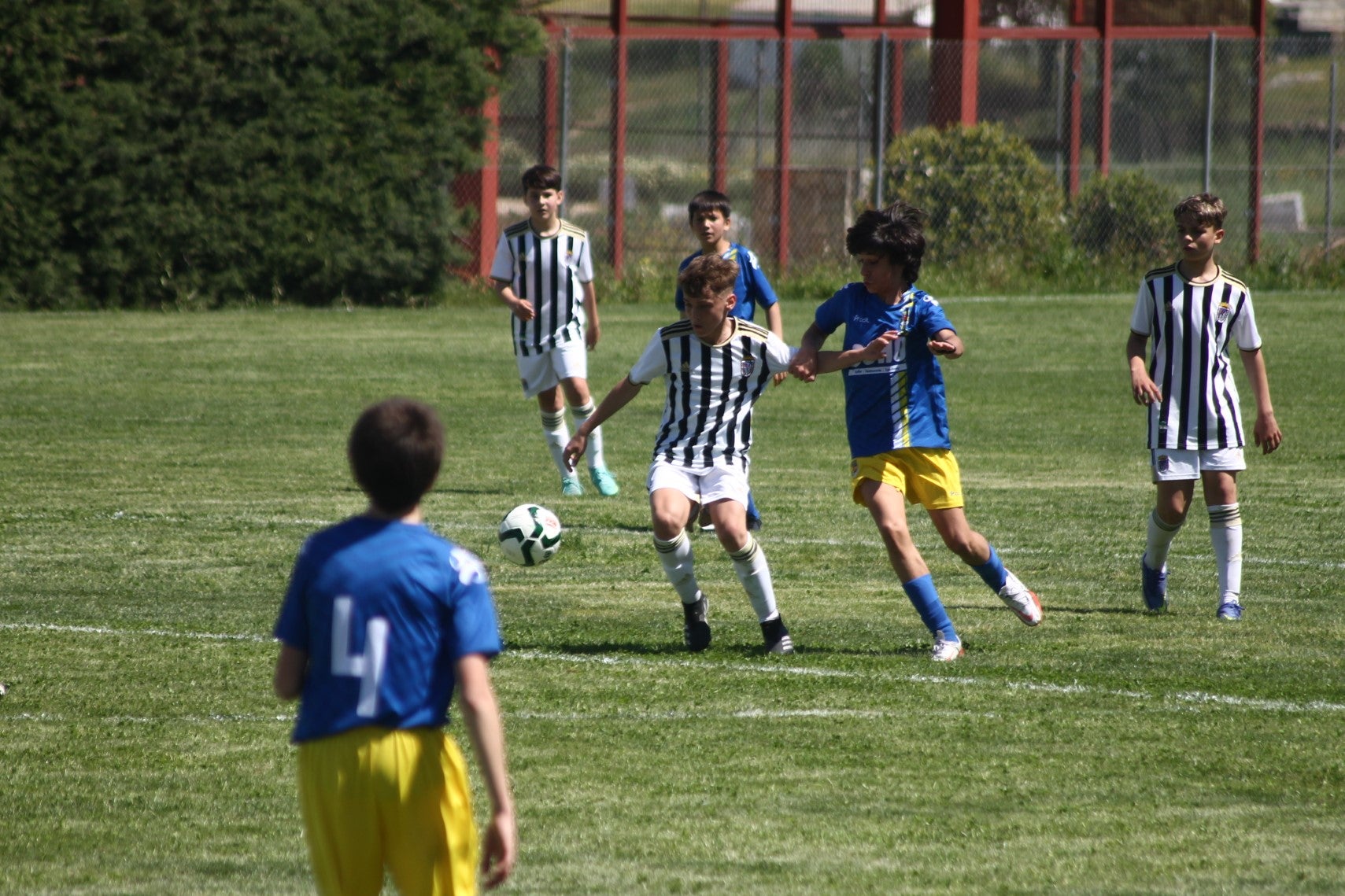 Fotos: I Trofeo Ibérico ‘Villa de Valverde’ (II)