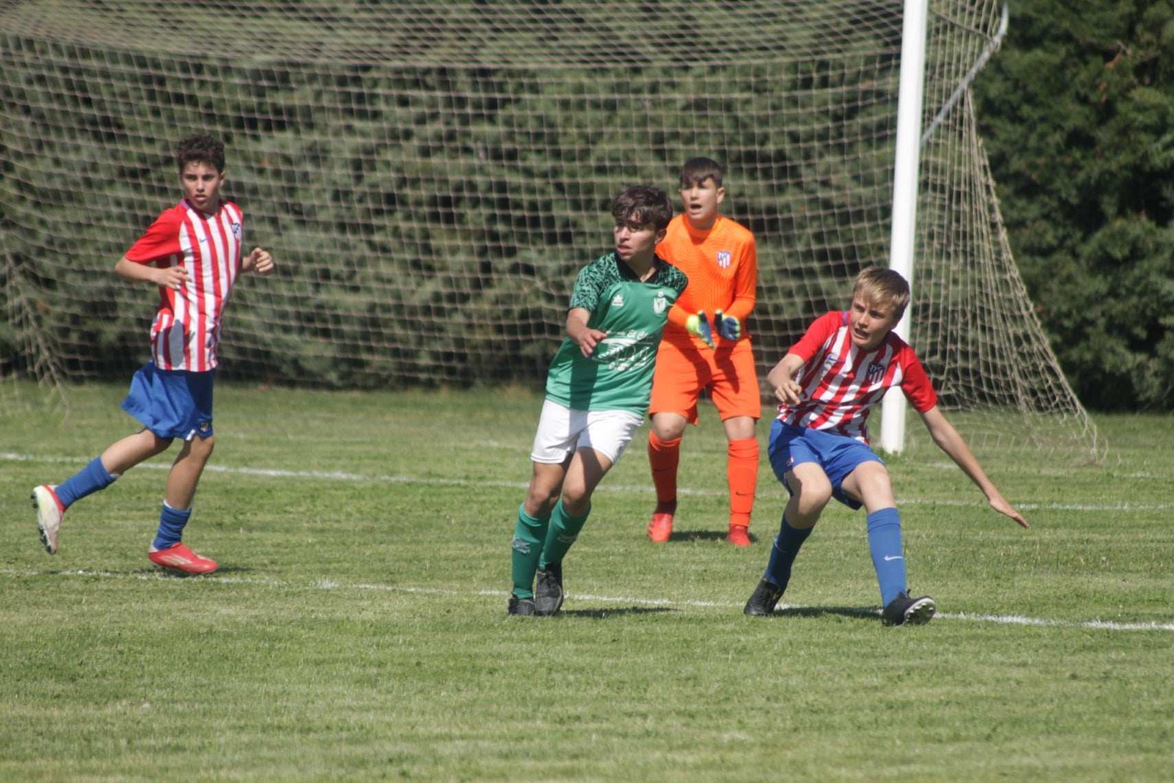 Fotos: I Trofeo Ibérico ‘Villa de Valverde’ (IV)