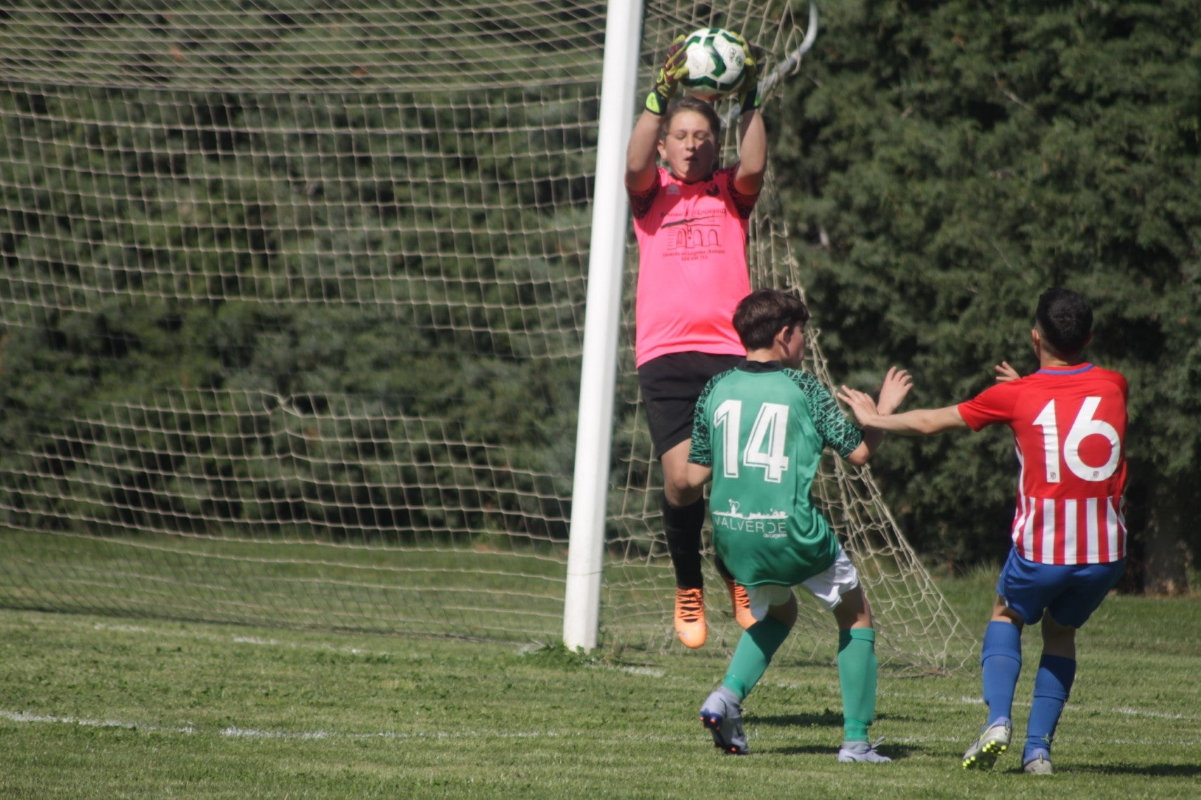 Fotos: I Trofeo Ibérico ‘Villa de Valverde’ (IV)