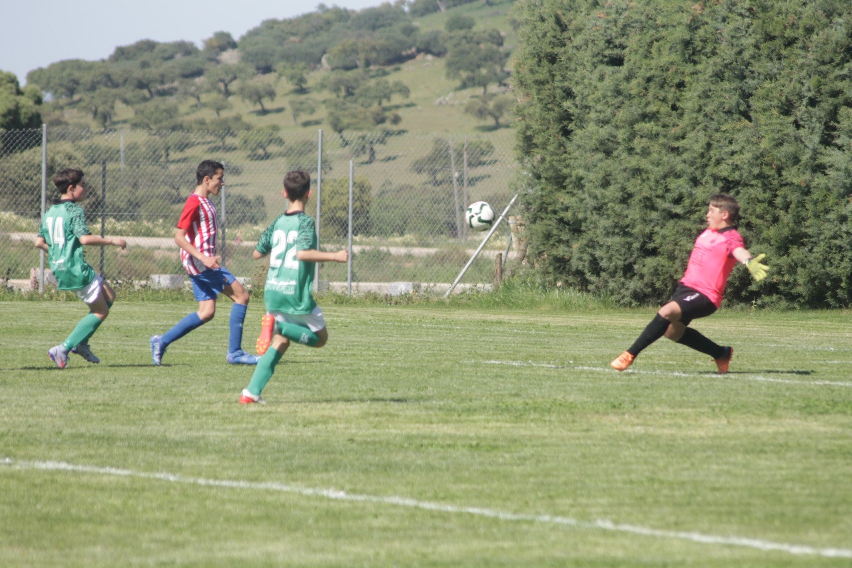 Fotos: I Trofeo Ibérico ‘Villa de Valverde’ (IV)
