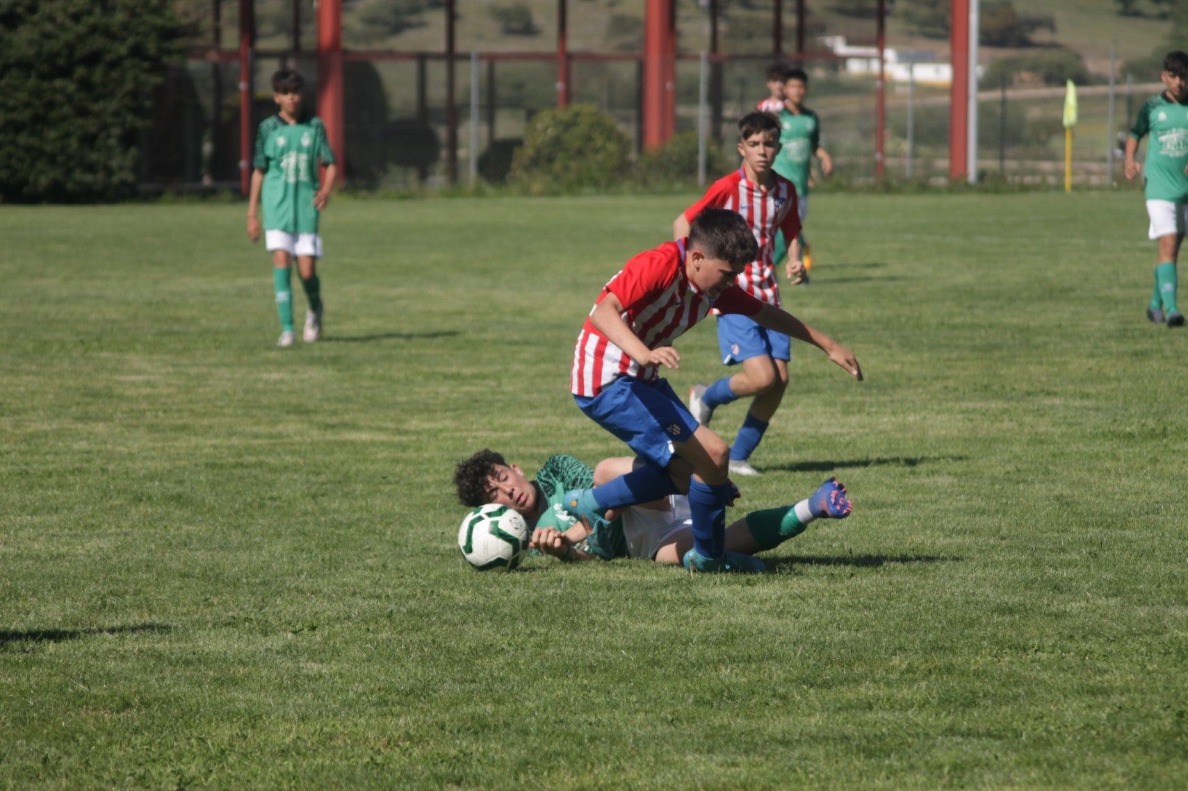 Fotos: I Trofeo Ibérico ‘Villa de Valverde’ (IV)