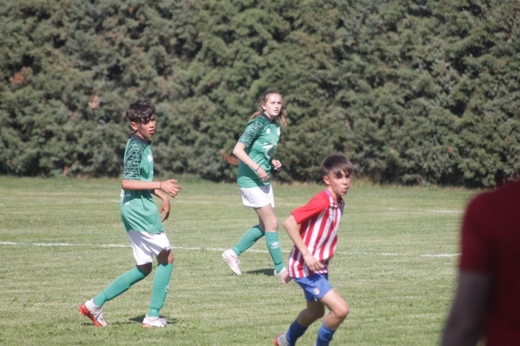 Fotos: I Trofeo Ibérico ‘Villa de Valverde’ (IV)
