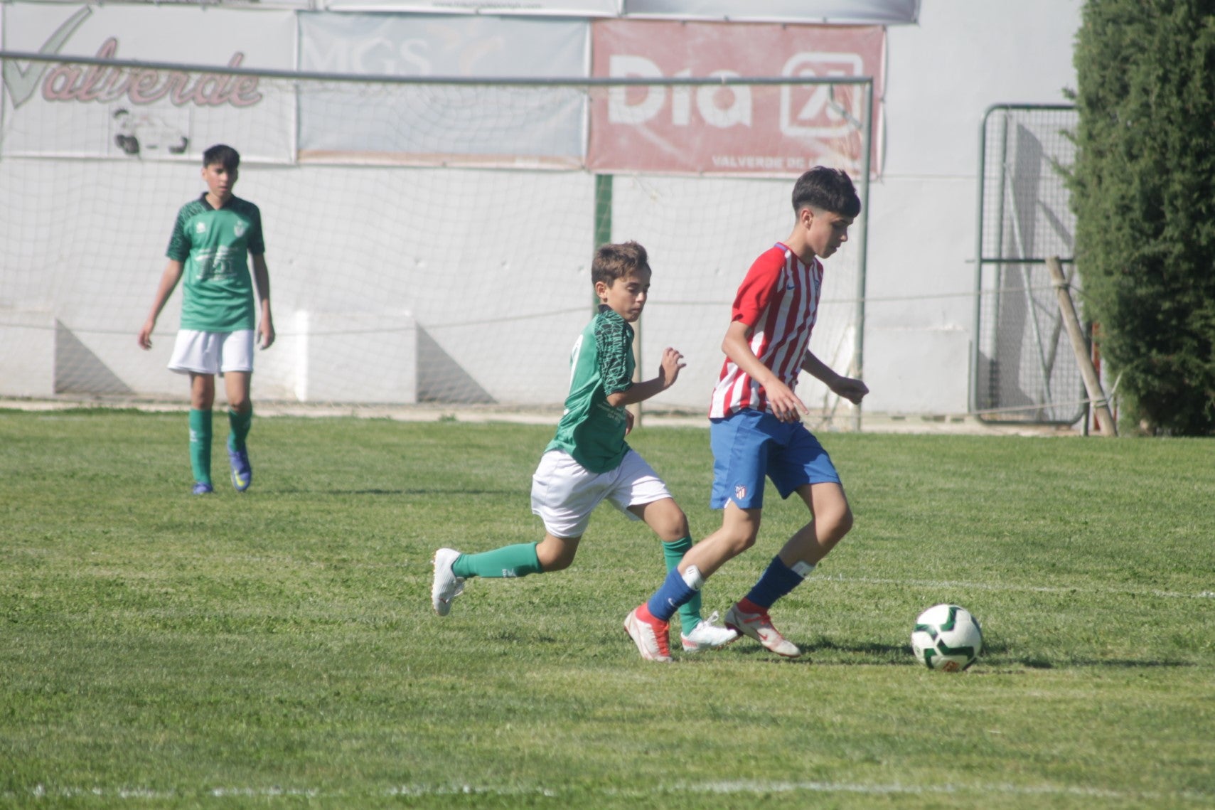 Fotos: I Trofeo Ibérico ‘Villa de Valverde’ (IV)